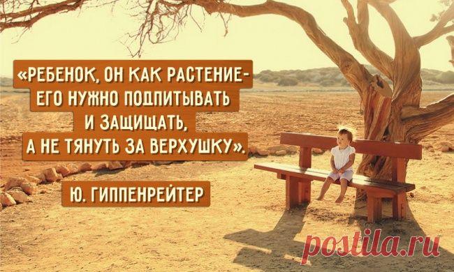Ребенка нужно не воспитывать, а растить