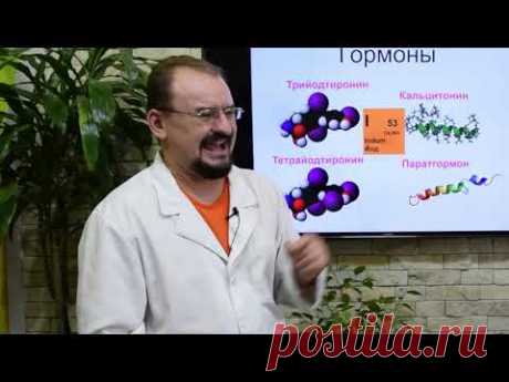 О гормонах щитовидки просто и интересно! Гипотиреоз. Гипертиреоз. Эутиреоз. Тиреоидит. Хашимото. ТТГ