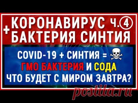 КОРОНАВИРУС + СИНТИЯ. ГМО бактерия пожирает всё живое. Как победить этот вирус? Сода и...!