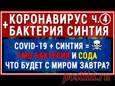 КОРОНАВИРУС + СИНТИЯ. ГМО бактерия пожирает всё живое. Как победить этот вирус? Сода и...!