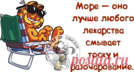 Картинки с приколюшками для хорошего настроения