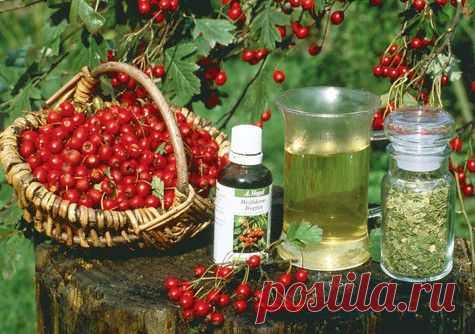 300 рецептов народной медицины.