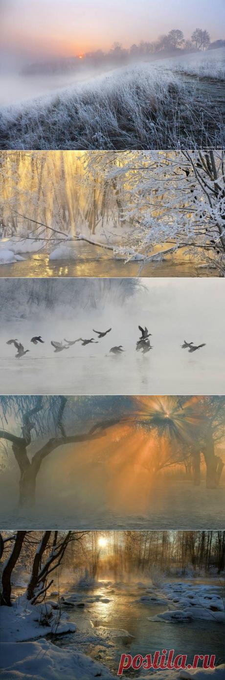 Зимнее утро