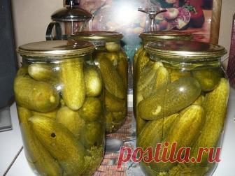 Огурцы из под крана | Полезные советы домохозяйкам