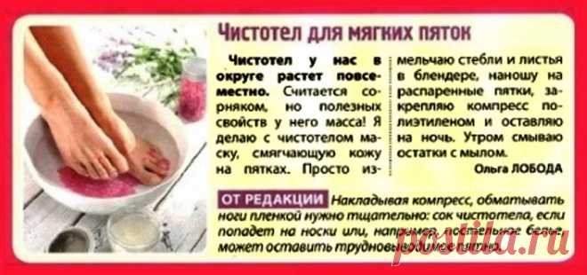 Чистотел для мягких пяток