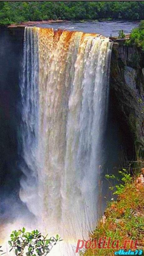 Живые фотографии – Живые картинки – Сообщество – Google+