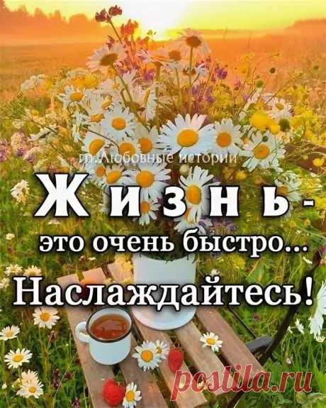 Яндекс Картинки: поиск похожих изображений