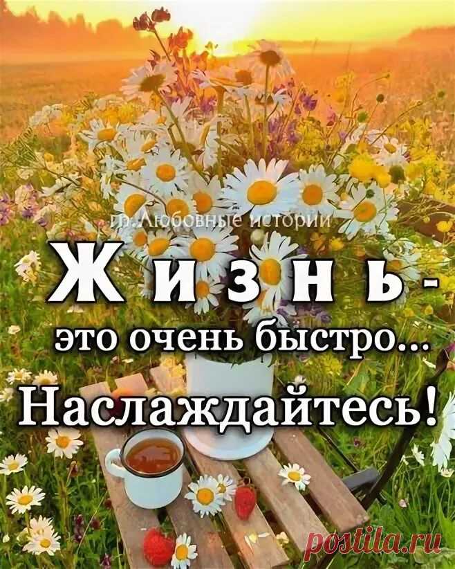 Яндекс Картинки: поиск похожих изображений
