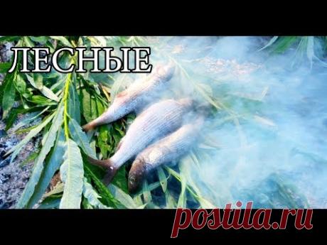 РЫБА В УГЛЯХ - ДРЕВНИЙ МЕТОД | БУШКРАФТ ПОСУДА СВОИМИ РУКАМИ | ЕДА БУШКРАФТ | РЫБАЛКА |FISH IN COALS