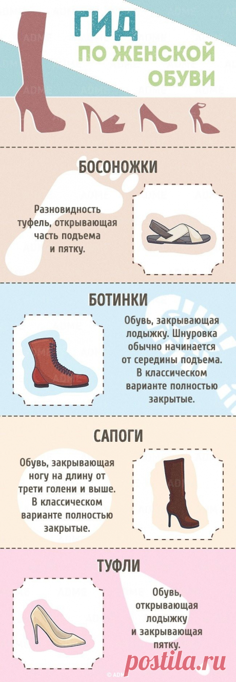 Лучший гид по женской обуви / Все для женщины