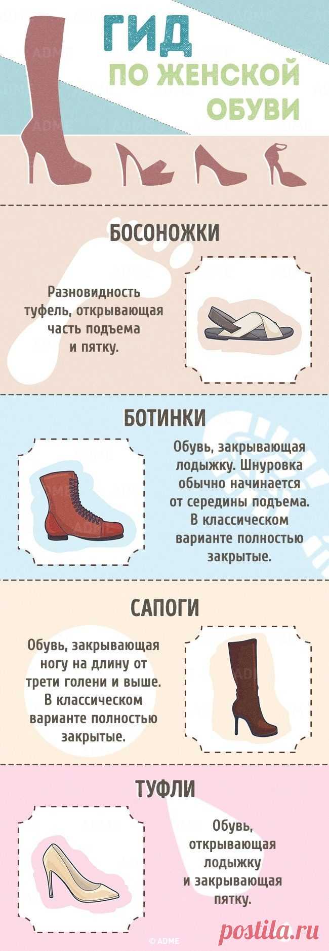 Лучший гид по женской обуви / Все для женщины