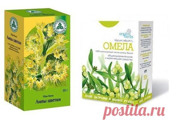 ТРАВЫ ДЛЯ ПОХУДЕНИЯ. ОМЕЛА И ЛИПА
Как говорит Сергей Макеев, доктор народной медицины: За 5 дней сбросить 5кг веса - это не предел. 
Есть очень старый и не раз проверенный рецепт: 
Берём липу, примерно горсть и заливаем её в термосе одним литром кипятка. И пьём в течение дня когда захочется пить. То есть ничего кроме липы не пьём. Кушаем, что хотим, но умеренно. 
На другой день берём Омелу ивную. Это растение от ста заболеваний. Опять же завариваем горсть травы на один литр кипятка в термосе.