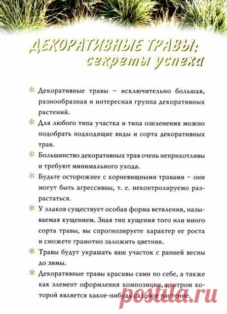 (68) Одноклассники