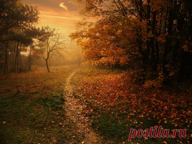 *** - allim - LensArt.ru