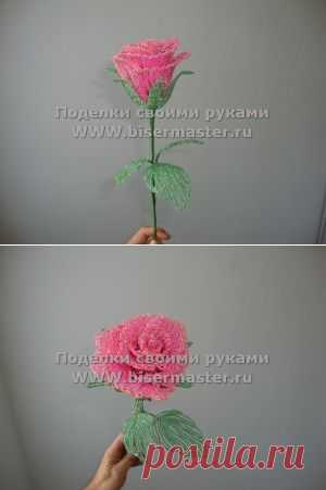 роза из бисера "Судак 2012" | Бисер мастер