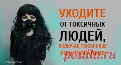 Уходите от токсичных людей, включая токсичных родственников!
Уходите от токсичных людей, включая токсичных родственников! Это может быть самое сложное решение в вашей жизни. И в то же время самое освобождающее. Решение не идти на контакт с членом семьи – глубоко личное. Для некоторых из нас исцеление материнской раны возможно только в контакте с матерью. В этом сценарии исцеление создает новое, более глубокое […]