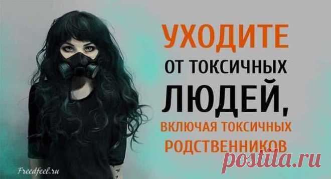 Уходите от токсичных людей, включая токсичных родственников!
Уходите от токсичных людей, включая токсичных родственников! Это может быть самое сложное решение в вашей жизни. И в то же время самое освобождающее. Решение не идти на контакт с членом семьи – глубоко личное. Для некоторых из нас исцеление материнской раны возможно только в контакте с матерью. В этом сценарии исцеление создает новое, более глубокое […]