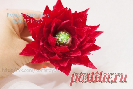 Дневник Ира_Шин