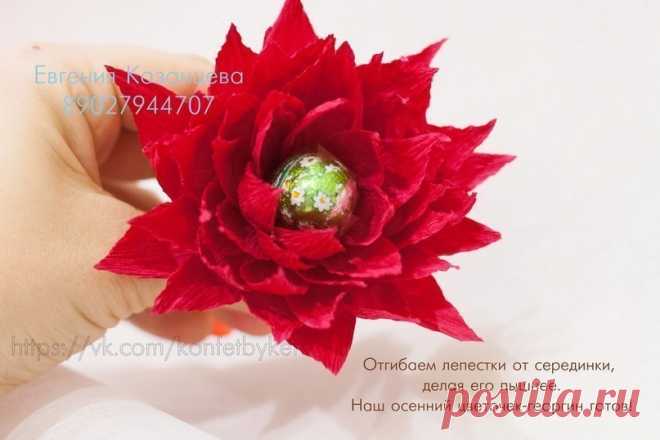 Дневник Ира_Шин