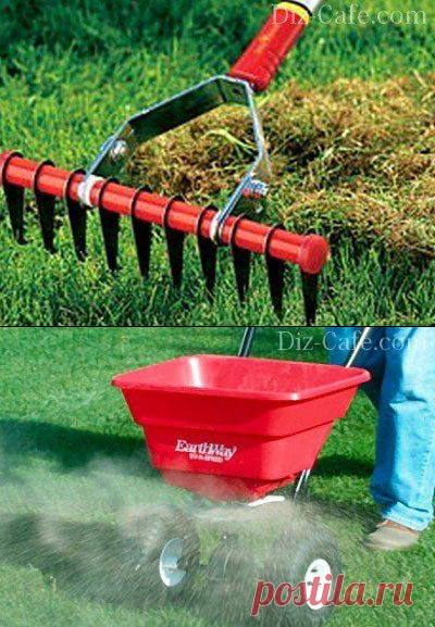 Весенние работы на даче и в саду: необходимые мероприятия