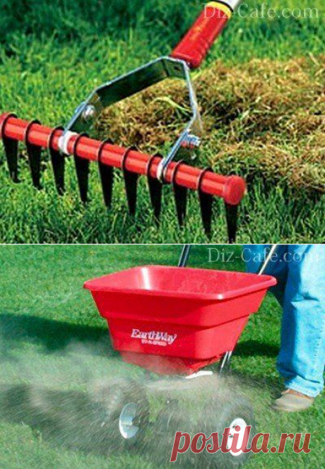 Весенние работы на даче и в саду: необходимые мероприятия