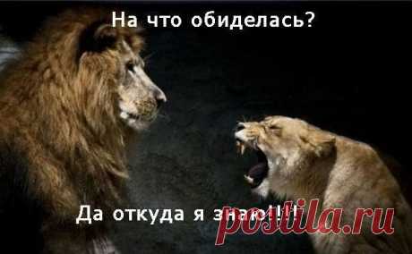 Ох, уж эти женщины....