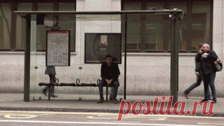 Живые фотографии – Сообщество – Google+