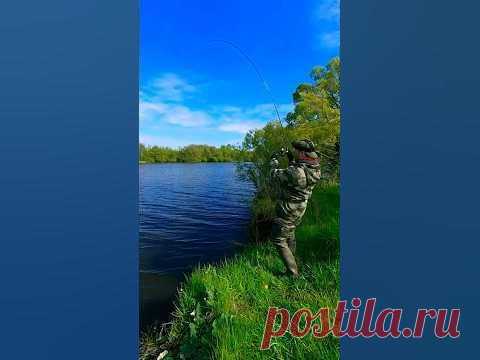 БОЖЕ какой УДАР в РУКУ!!! Ах ты СУТУЛАЯ СОБАКА!!!🔥💪😂 #shorts #new #рыбалка Щука начинает отходить от нереста, и уже клюют отличные экземпляры! А сопротивляется как летняя!Приманки:Мандула YAMAN, р. XS 60 мм - https://alii.pub/6jgpuh...