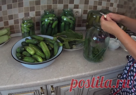 Самый лучший рецепт засолки огурцов на зиму! Без стерилизации и уксуса - рецепт супер! | Рецепты и заготовки | Яндекс Дзен