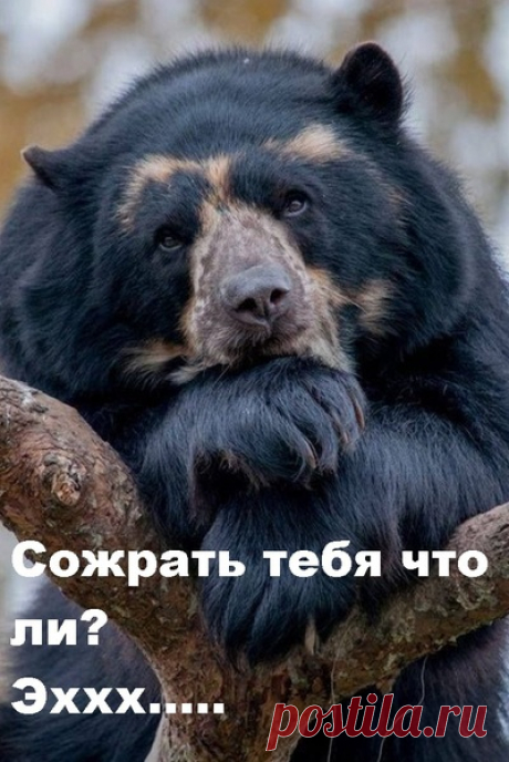 Задумчивость