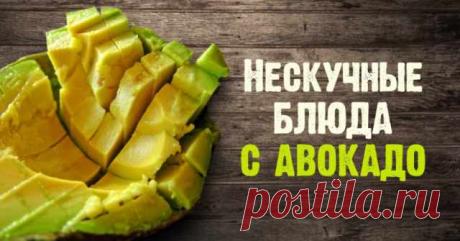 7 блюд из авокадо, которые стоит приготовить немедленно. То, что приведет твои вкусовые рецепторы в экстаз! — Готовим дома