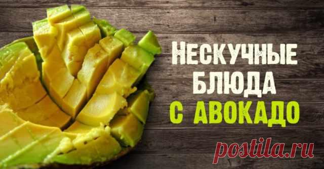 7 блюд из авокадо, которые стоит приготовить немедленно. То, что приведет твои вкусовые рецепторы в экстаз! — Готовим дома