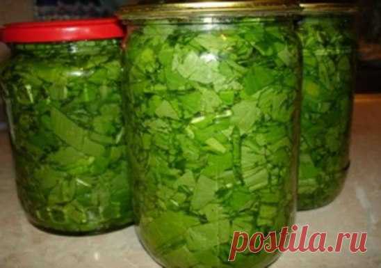 ЩАВЕЛЬ КОНСЕРВИРОВАННЫЙ.