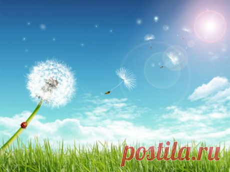 Аффирмации на успех и богатство Некоторые люди тратят немало сил на то, чтобы заработать необходимую сумму, но при этом не могут достичь желаемого результата. Чтобы изменить свою жизнь к лучшему, воспользуйтесь проверенными аффирмациями, с помощью которых вы сможете привлечь богатство и успех.