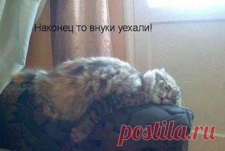 Одноклассники