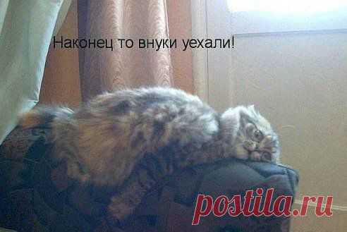 Одноклассники