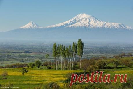 Առավոտ էր:Արարատյան դաշտի լուսապայծառ առավոտներից մեկը:
Արևի առաջին ճառագայթների ներքո`Մասիսի սպիտակափառ գագաթը փայլում էր վարդագույն շողքերով,որ աչք էին շլացնում:Արագածի պսակաձև գագաթը չէր երևում:Նա դեռ պատած էր ձյունի պես ճերմակ մշուշով,որպես մի ամոթխած հարսիկ,որ սքողում է յուր դեմքը անթափանցիկ շղարշով:Կանաչազարդ դաշտավայրը, ցողված վաղորդյան մարգագետիններով,վառվում էր ծիածանի ամենանուրբ գույներով:Փչում էր մեղմ հովիկը,ծաղիկները ժպտում էին, դալար խոտաբույսերը ծփում ու ծածանվում էին,և դաշտի...