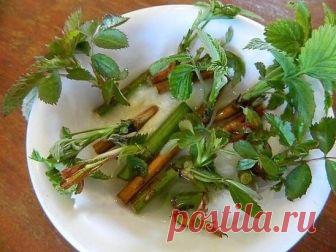 РАЗМНОЖАЮ МАЛИНУ И РОЗЫ ЧЕРЕНКОВАНИЕМ - НИЧЕГО СЛОЖНОГО!
Сегодня я хочу поделиться с вами серией своих новых опытов. Например, размножением малины и роз черенками.
Обычно малину размножают порослью, так называемой крапивкой. С этим «добром» у нее нет проблем – все равно мы большую часть вырубаем. Но есть сорта, которые почти не даю поросли или не дают ее вовсе. У меня есть несколько ценных для меня сортов малины, которые не дают поросли. Поэтому решила размножить ее отростками. А заодно и укор