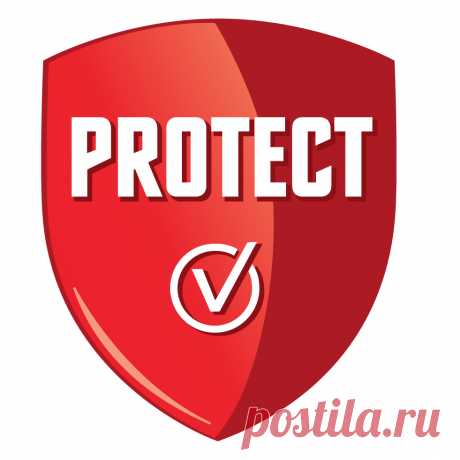 Какие проблемы могут возникнуть с рассадой томатов?