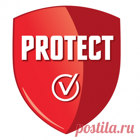 Какие проблемы могут возникнуть с рассадой томатов?