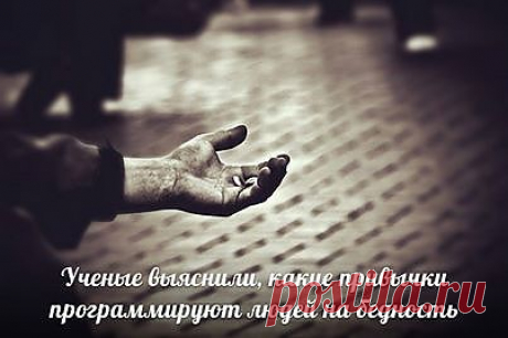 Ученые выяснили, какие привычки программируют людей на бедность. Некоторые привычки, .