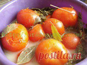 Помидоры бочковые | Урожайная дача