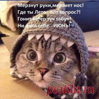 (99) Одноклассники