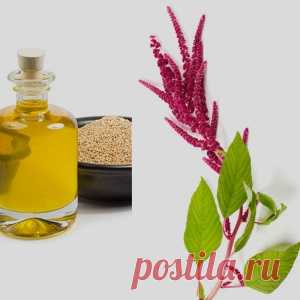 Амарантовое масло – незаменимый продукт при ожирении, диабете, варикозе и не только