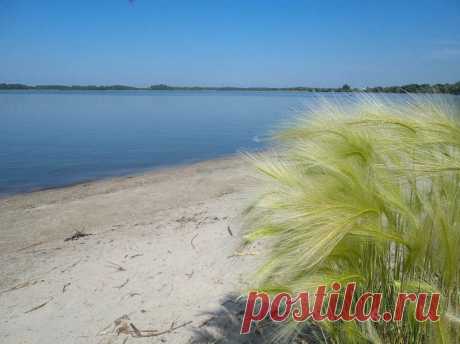 «Озеро Брюхово»