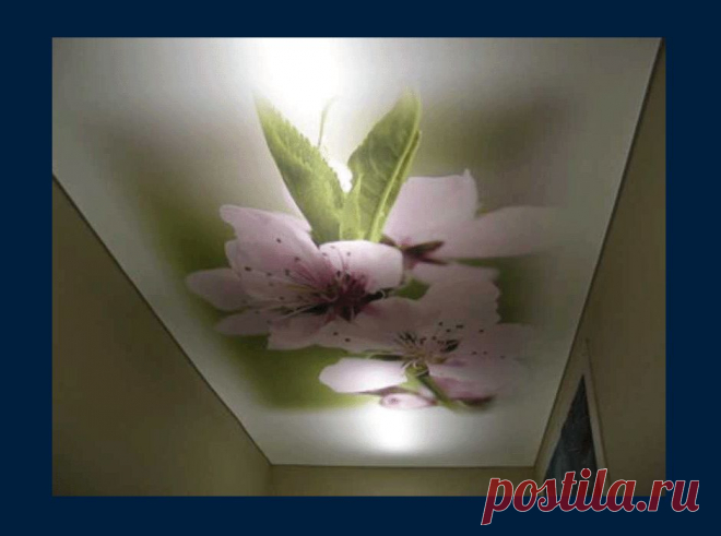 Фотогалерея | Французские натяжные потолки