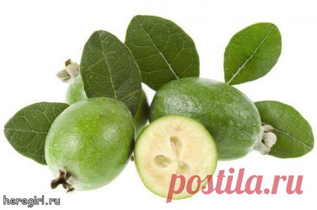 Зимняя ягода фейхоа на защите здоровья. .