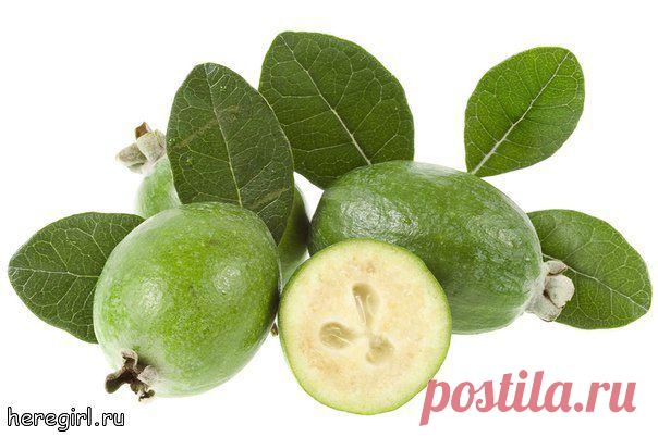 Зимняя ягода фейхоа на защите здоровья. .