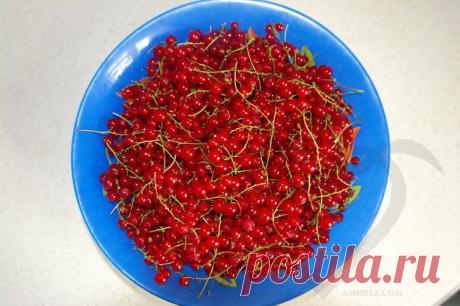 Желе из красной смородины. Рецепт приготовления с пошаговыми фото