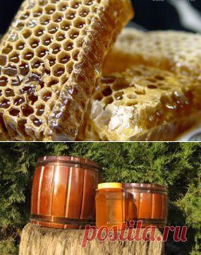 ДОННИКОВЫЙ МЕД |Так как донник – лекарственное растение, то и мёд с донника обладает лекарственными свойствами. Рекомендуется для употребления при заболеваниях органов дыхания, простудных заболеваниях, головной боли, бессонице....